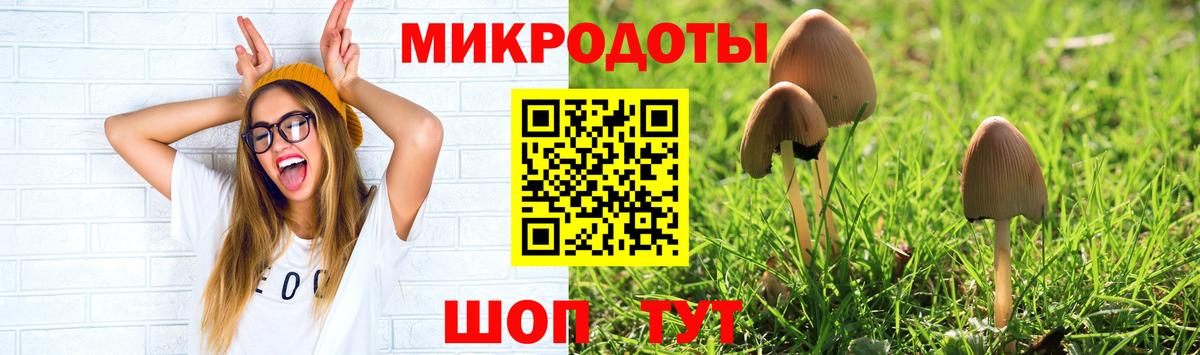 Родники  Псилоцибиновые грибы прущие грибы  Галлюциногенные грибы прущие грибы  Вход с VPN 