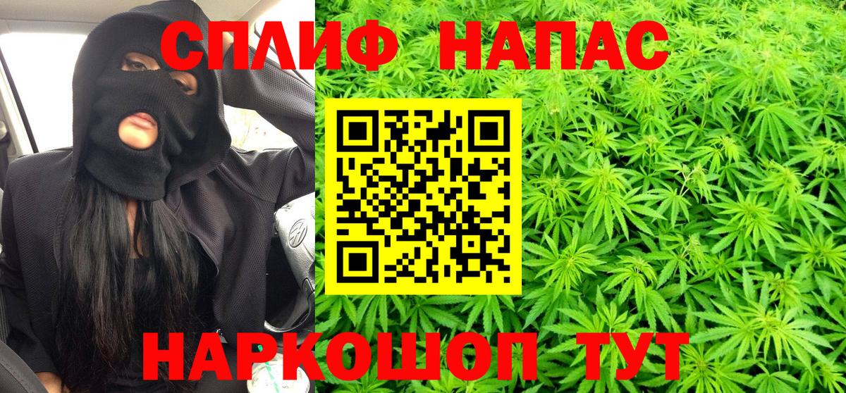 МАРИХУАНА сатива Родники